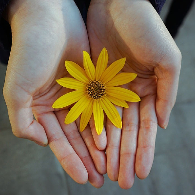 �����ʻ�