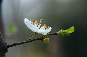 ��дʢ�����滨