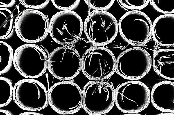 ����֮����̻��к�