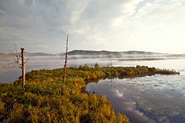 ����ɽ�ž������