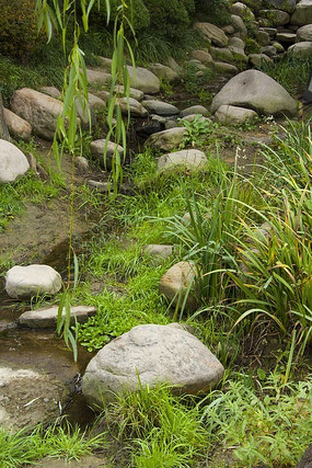 �ݵ������������