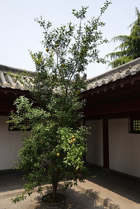 �δ�����