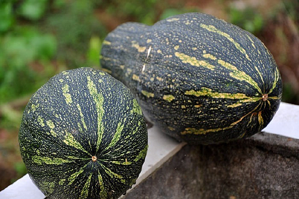 �����Ϲ�