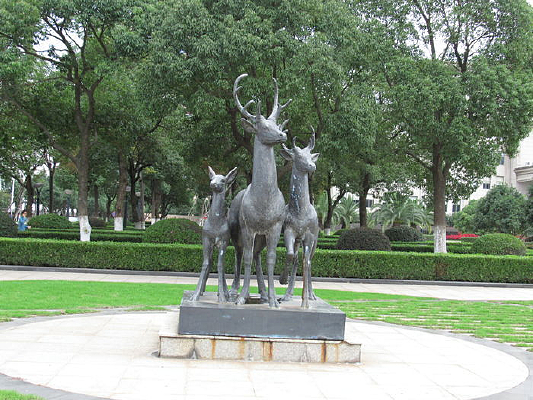 ��ֻ¹����