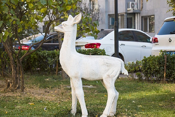 ������ĸ¹ʯ��