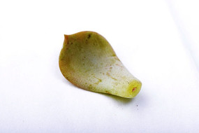 һ�����ֲ��ҶƬ