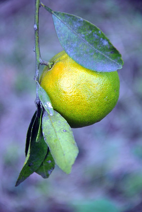 һ�����ϵĽ���