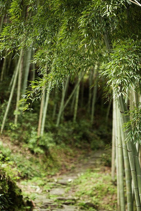 �������С·