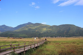 ����ʪ��