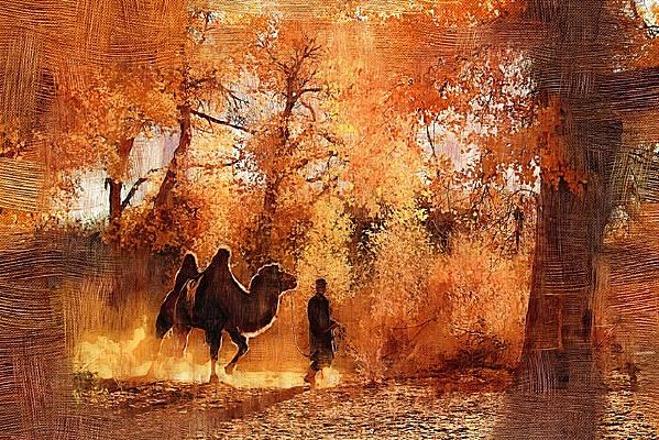 ��������