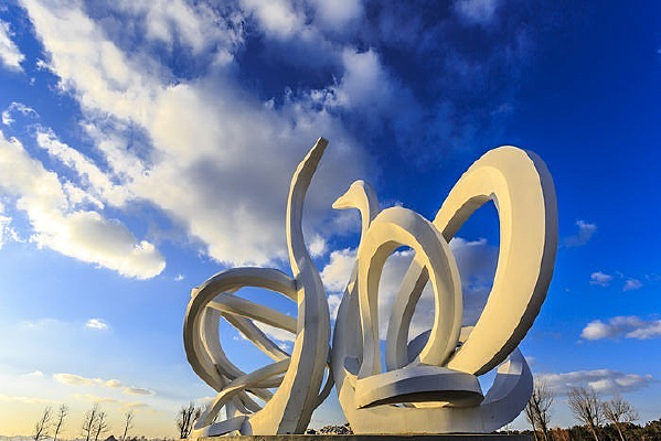 ��������µ�������