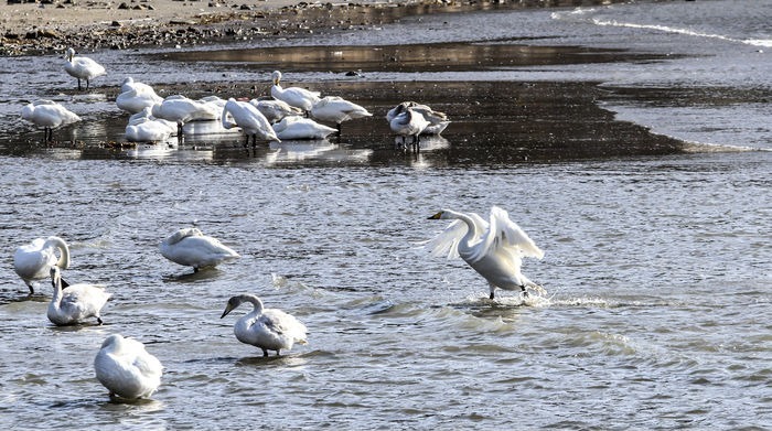 ���������