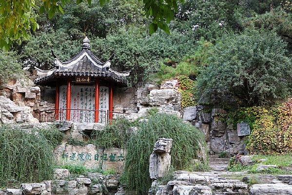 ��Ȼͤ��԰����ͤ������ͤ