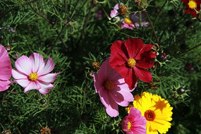 ����ͷ׵Ļ���