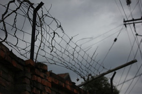 ����ͼƬ��