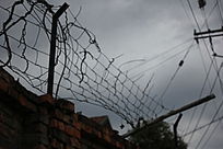 ����ͼƬ��