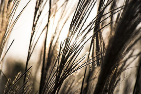 ����ëë��