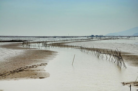 ����Χ��