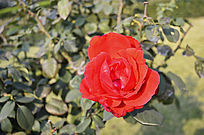 �����¼���