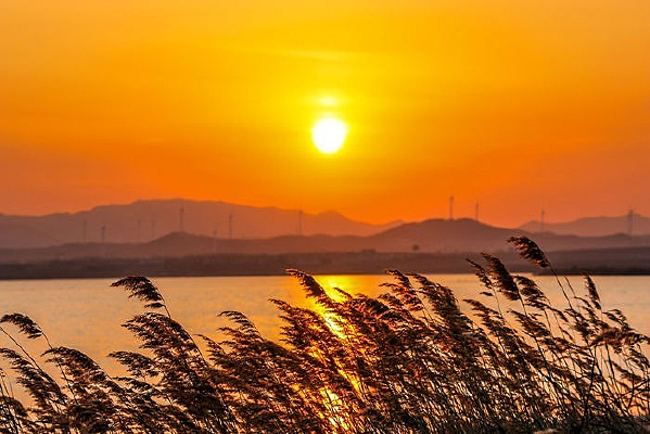 ��ɫ��ϼ��