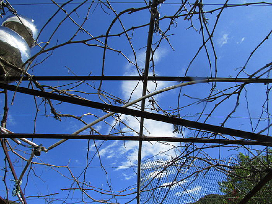 �����µ���