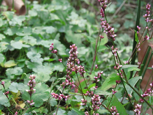 ������һ��