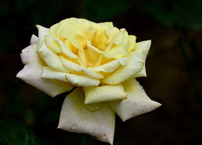 �������¼���