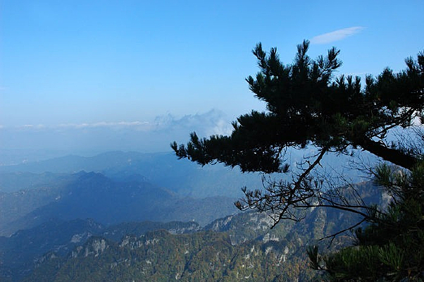 ���䵱ɽ���С��