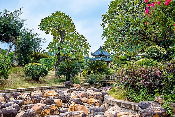 Զ����С��ͤ