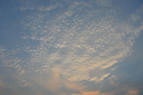 ���ݰ������