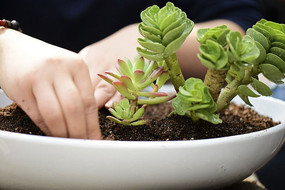 �������߻�