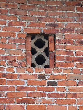 ���ϵ�С����