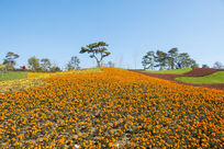 Ұ������