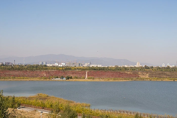 ���л��Ǻ�