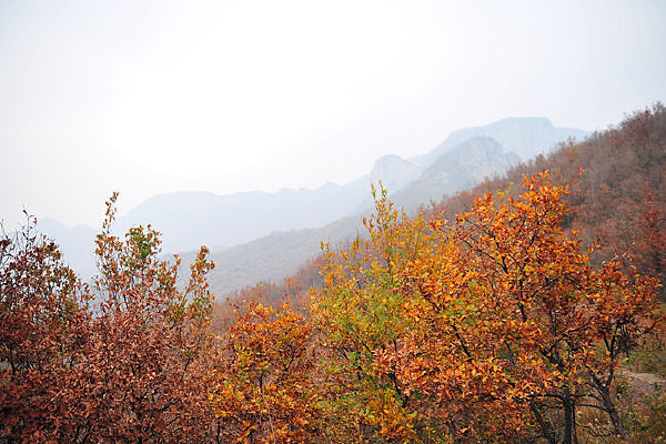 �����̫��