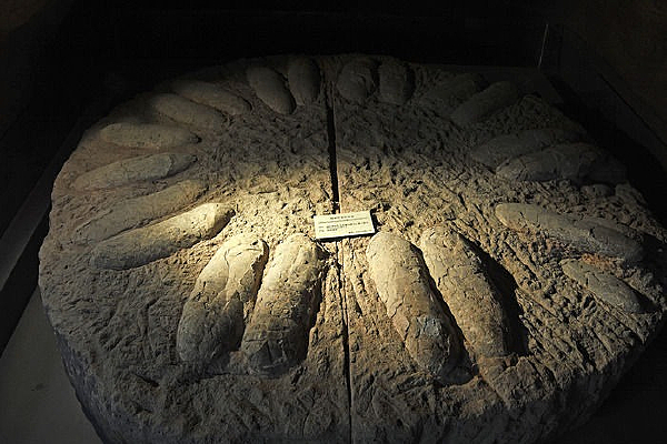 ������Դ