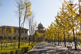 �������̻�