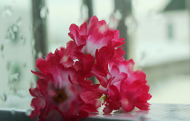 �����һ��С��