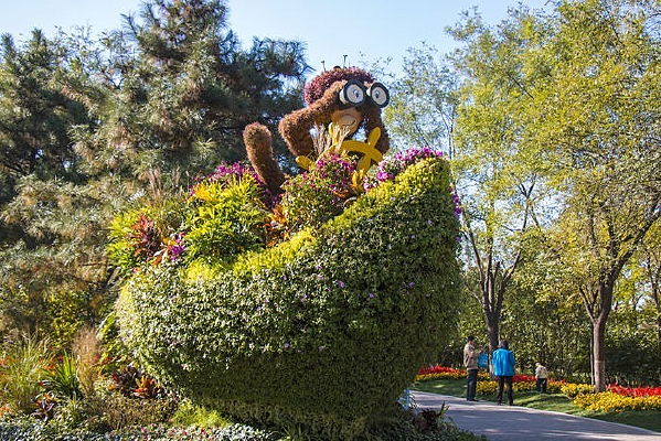 ������ֲ������