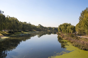 ������Ӱ