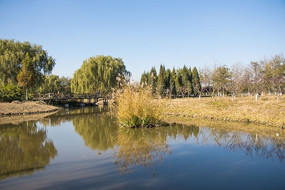 ������Ӱ