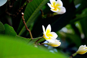 ����������д