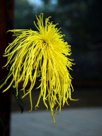 �ջ����ַ���