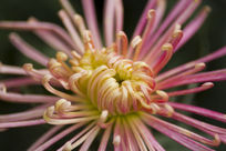 �ջ���д����