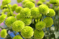 Ư��������魾ջ�