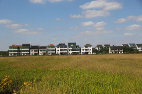 ���յĽ�Ұ�������