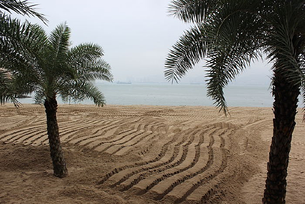 ɳ̲�ϵ�����