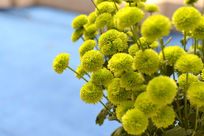 һ�������