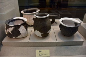 �����չ�