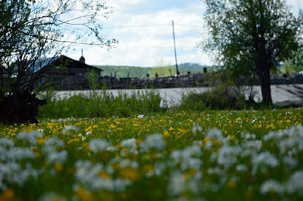 �������̵�